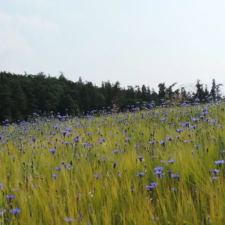 Ederseeblick In Am Edersee By Interhome 펜션
