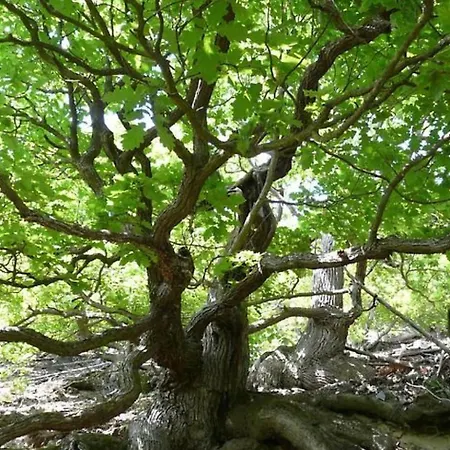Ederseeblick In Am Edersee By Interhome * Bringhausen