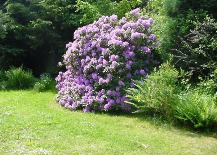 Ederseeblick In Am Edersee By Interhome 펜션
