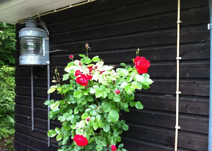 Ederseeblick In Am Edersee By Interhome Bringhausen