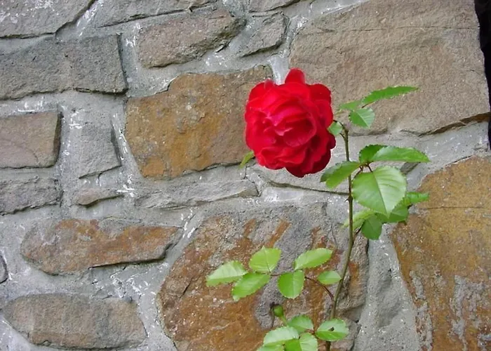 Ederseeblick In Am Edersee By Interhome Bringhausen