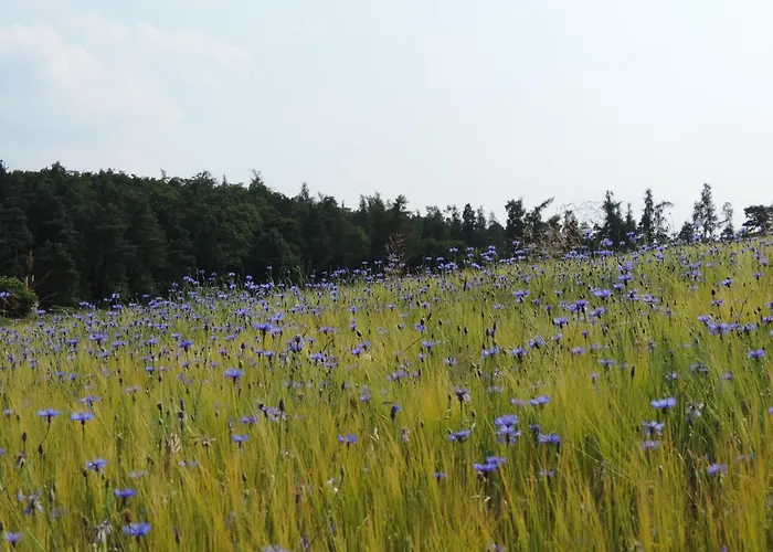Ederseeblick In Am Edersee By Interhome 펜션