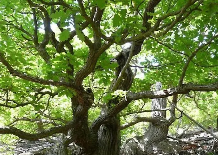 Ederseeblick In Am Edersee By Interhome * Bringhausen